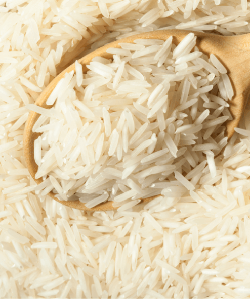 Everyday Rice