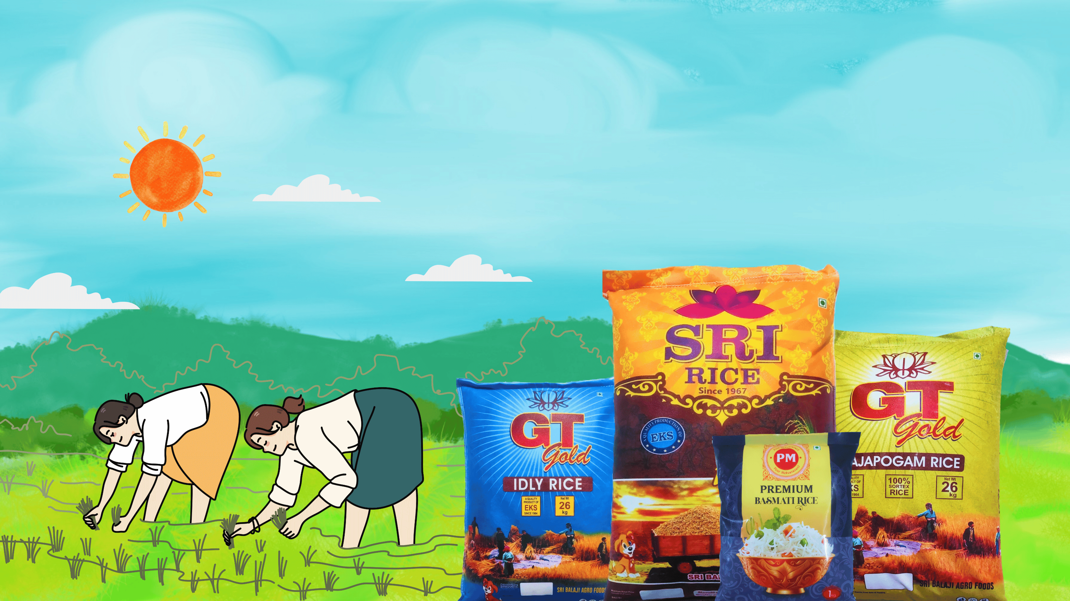 Rice Fields
